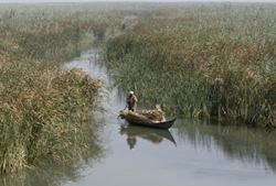 ЮНЕСКО внесла 